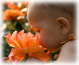 Baby with Orange Flower